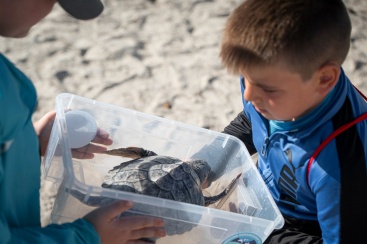 Fotografia /Galeria/2024/10/234867_149608/6_M1.jpg