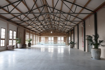 Fotografia /Galeria/2024/10/235401_150006/2_M1.jpg