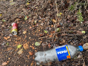 Fotografia /Galeria/2024/10/235452_150044/2_M1.jpg