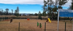 Los perros podrn acceder a las playas de Torreblanca en temporada baja