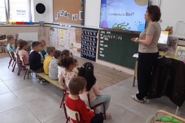 Fotografia /Galeria/2024/11/235744_150201/3_M1.jpg