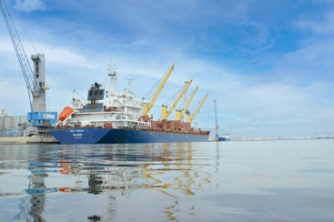 Fotografia /Galeria/2024/11/235795_150232/4_M1.jpg