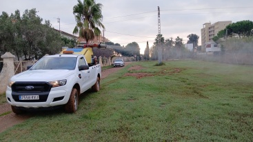 Intensifican tratamientos de vigilancia y fumigación de mosquitos en Castellón tras la DANA