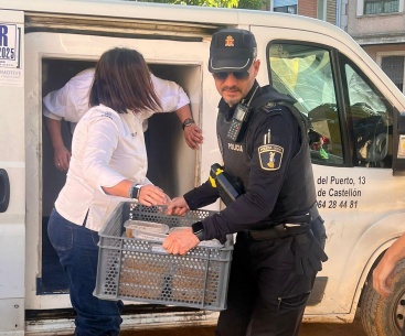 Fotografia /Galeria/2024/11/235994_150365/3_M1.jpg