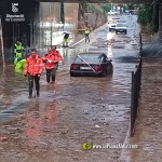 Fotografia /Galeria/2024/11/236103_150445/8_M1.jpg