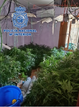 Desarticulen un punt negre de trfic de drogues a Almassora