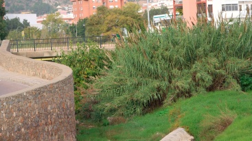 Fotografia /Galeria/2024/11/236589_150872/3_M1.jpg