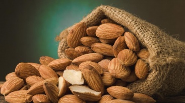 Fotografia /Galeria/2024/11/236855_151072/2_M1.jpg