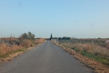El Ayuntamiento de Almenara limpia las laderas de 46 kilómetros de caminos rurales