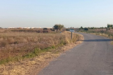 Fotografia /Galeria/2024/11/236891_151102/2_M1.jpg