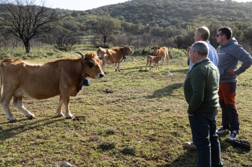 Fotografia /Galeria/2024/11/236907_151114/3_M1.jpg