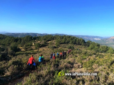 Fotografia /Galeria/2024/12/236987_151179/5_M1.jpg