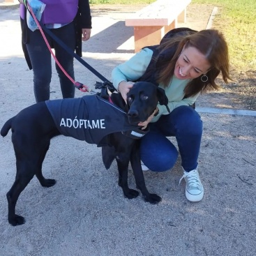 Almassora celebra la Feria de Adopcion Responsable con charlas, desfile canino y talleres infantiles