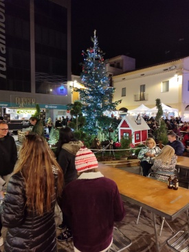 Fotografia /Galeria/2024/12/237075_151249/2_M1.jpg