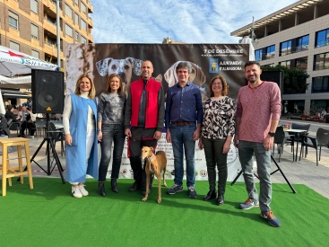 Fotografia /Galeria/2024/12/237234_151369/2_M1.jpg