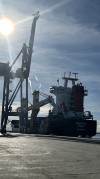 Fotografia /Galeria/2024/12/237248_151381/2_M1.jpg