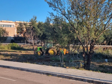 Torreblanca activa la limpieza de solares urbanos en prevención de incendios