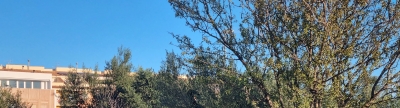 Torreblanca activa la limpieza de solares urbanos en prevencin de incendios