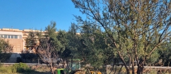Torreblanca activa la neteja de solars urbans en prevenci d'incendis