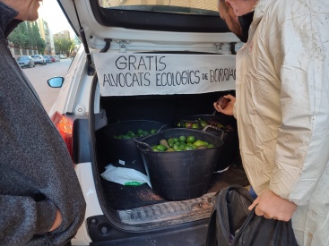 Fotografia /Galeria/2024/12/238068_152009/2_M1.jpg