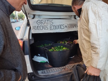 Fotografia /Galeria/2024/12/238068_152009/4_M1.jpg