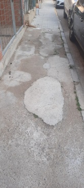 Fotografia /Galeria/2024/2/222207_140439/2_M1.jpg