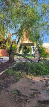 Fotografia /Galeria/2024/2/222242_140468/2_M1.jpg