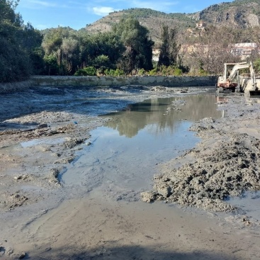 Fotografia /Galeria/2024/2/222682_140747/5_M1.jpg