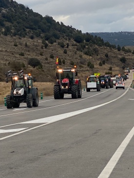 Fotografia /Galeria/2024/2/222723_140781/2_M1.jpg