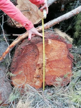 Fotografia /Galeria/2024/2/222817_140845/2_M1.jpg