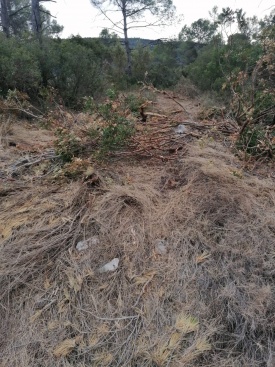 Fotografia /Galeria/2024/2/222817_140845/3_M1.jpg