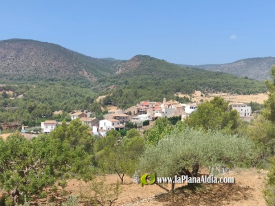 Fotografia /Galeria/2024/2/223093_141016/3_M1.jpg