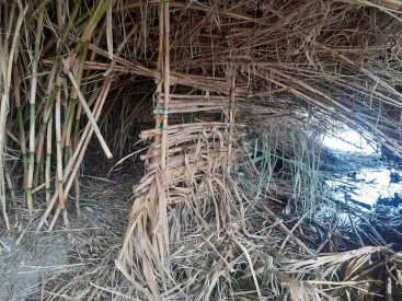 Fotografia /Galeria/2024/2/223299_141166/2_M1.jpg