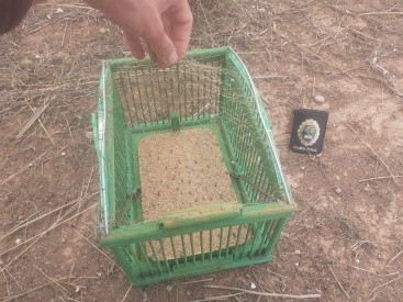 Fotografia /Galeria/2024/2/223299_141166/3_M1.jpg