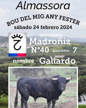 Fotografia /Galeria/2024/2/223322_141183/2_M1.jpg