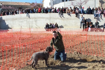 Fotografia /Galeria/2024/2/223337_141194/2_M1.jpg