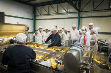 Fotografia /Galeria/2024/2/223384_141225/2_M1.jpg