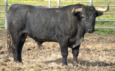 Fotografia /Galeria/2024/2/223440_141266/2_M1.jpg