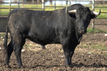 Fotografia /Galeria/2024/2/223440_141266/3_M1.jpg