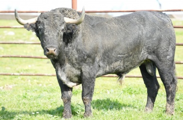 Fotografia /Galeria/2024/2/223440_141266/4_M1.jpg