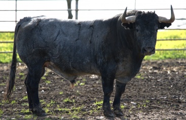 Fotografia /Galeria/2024/2/223440_141266/5_M1.jpg