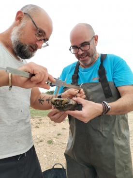 Fotografia /Galeria/2024/2/223455_141276/3_M1.jpg