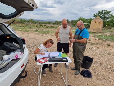 Fotografia /Galeria/2024/2/223455_141276/4_M1.jpg