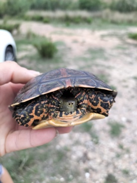 Fotografia /Galeria/2024/2/223455_141276/6_M1.jpg