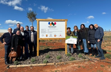 Onda revalida el reconeixement de Ciutat Mundial de l'Arbre 2023 per l'ONU