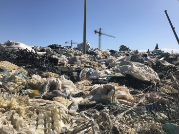 Fotografia /Galeria/2024/3/223832_141550/4_M1.jpg