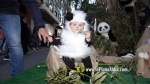 GALERIA 3
