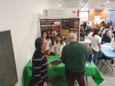 Fotografia /Galeria/2024/3/224259_141879/2_M1.jpg