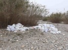 Troben nou vessament d'escombraries al paratge protegit del riu Millars