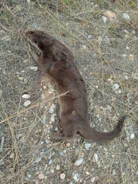 Fotografia /Galeria/2024/3/225178_142582/2_M1.jpg